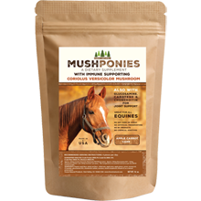 MushPonies Horse Cakes With Coriolus Versicolor Mushroom